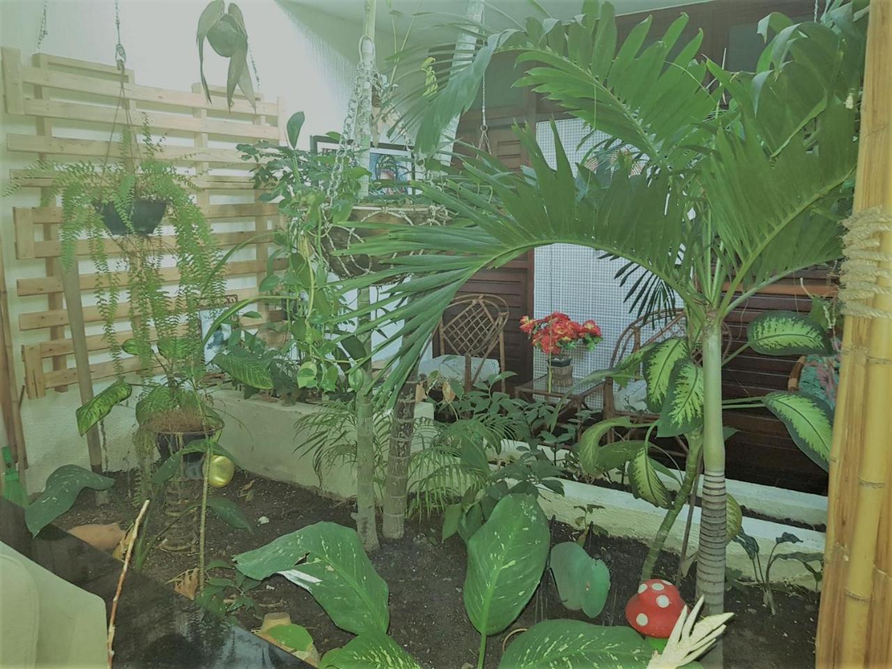 Pousada Terra Garrida Maceió Exteriör bild